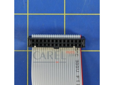 59C460A003 Кабель CAREL