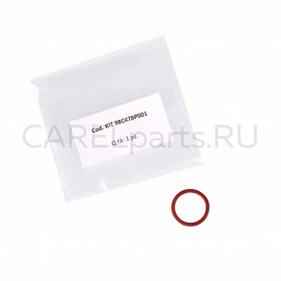 BL0S3E00H2 Неразборный цилиндр CAREL 9 кг/ч, тип E BL0S3E00H2 Неразборный цилиндр CAREL 9 кг/ч, тип E