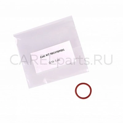 BL0S3F00H2 Неразборный цилиндр CAREL 9 кг/ч, тип F BL0S3F00H2 Неразборный цилиндр CAREL 9 кг/ч, тип F