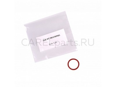 BL0T3B00H2 Неразборный цилиндр CAREL 10-18 кг/ч, тип B BL0T3B00H2 Неразборный цилиндр CAREL 10-18 кг/ч, тип B