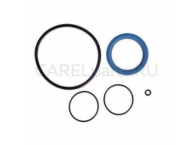 DP000G2200 Комплект прокладок CAREL