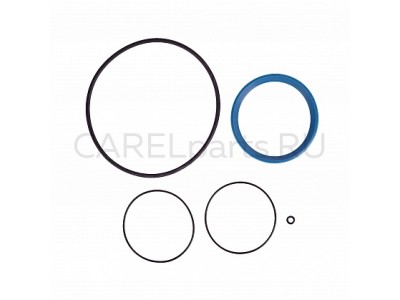 DP000G4000 Комплект прокладок CAREL DP000G4000 Комплект прокладок CAREL