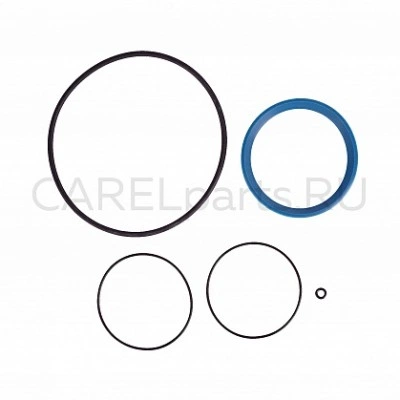 DP000G4000 Комплект прокладок CAREL DP000G4000 Комплект прокладок CAREL