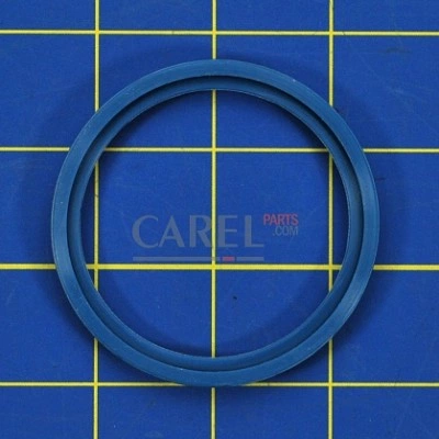DP000G4000 Комплект прокладок CAREL DP000G4000 Комплект прокладок CAREL