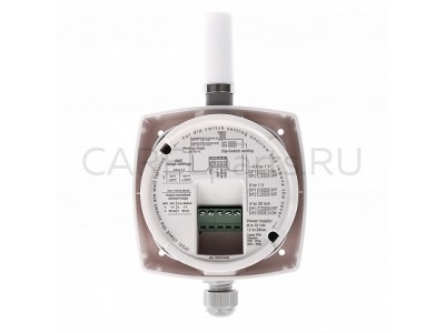 DPPT010000 Датчик температуры CAREL промышленный настенный DPPT010000 Датчик температуры CAREL промышленный настенный