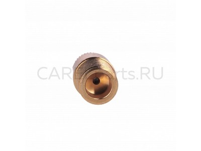 ECKN0501D0 Форсунка CAREL для EC Optimist 6 кг/ч ECKN0501D0 Форсунка CAREL для EC Optimist 6 кг/ч